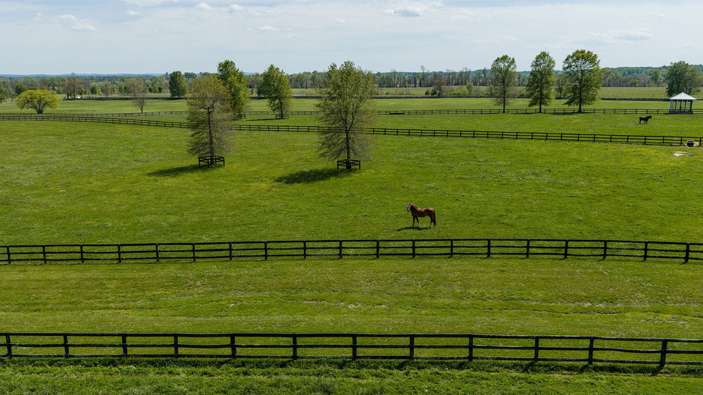 Pasture view at Llangollen Farm