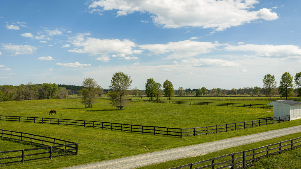 Horses grazing in the pastures at Llangollen Farm